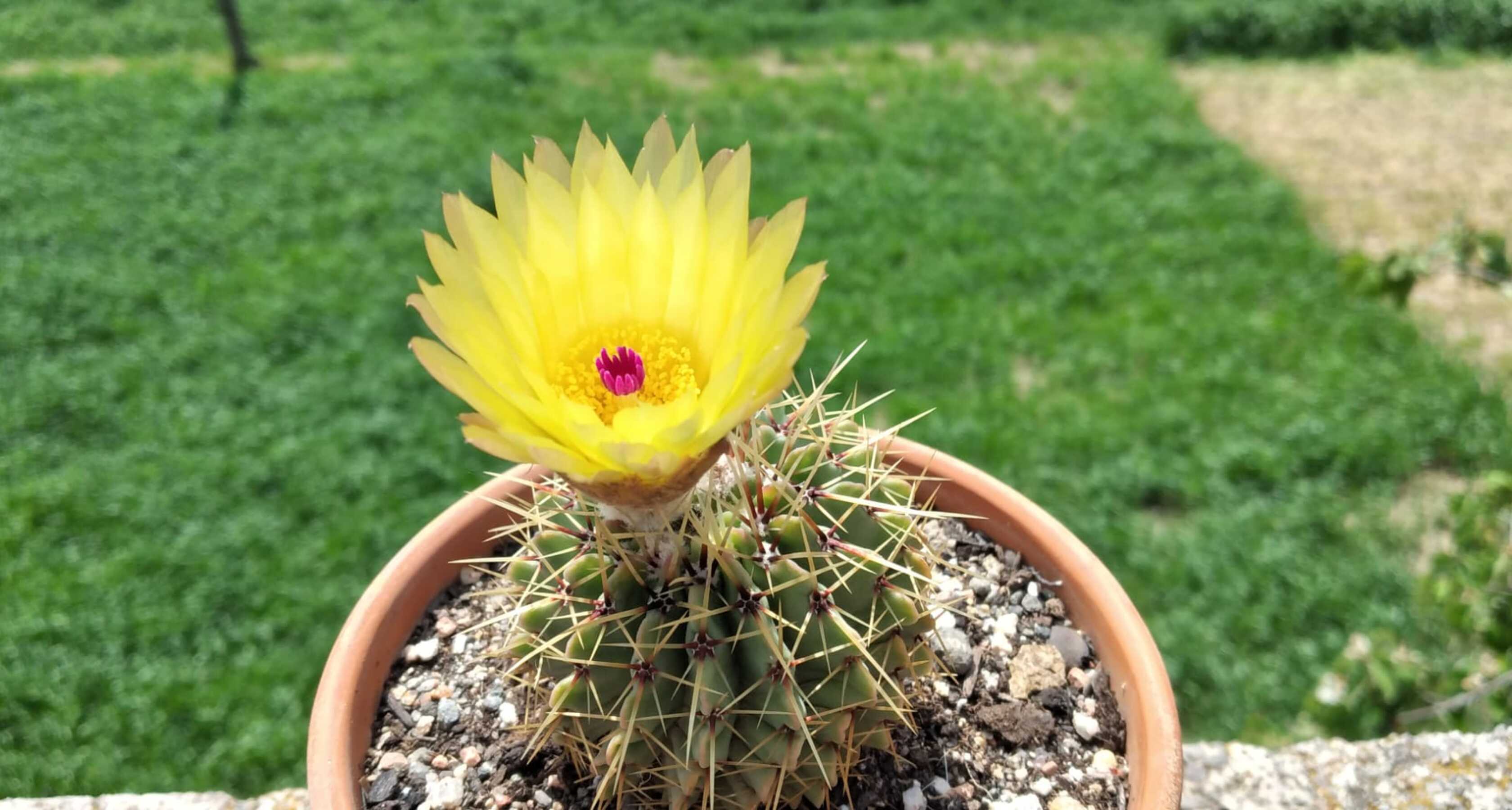 WhatsApp Image 2022-04-30 at 12.52.30 PM (1) (1) (1)