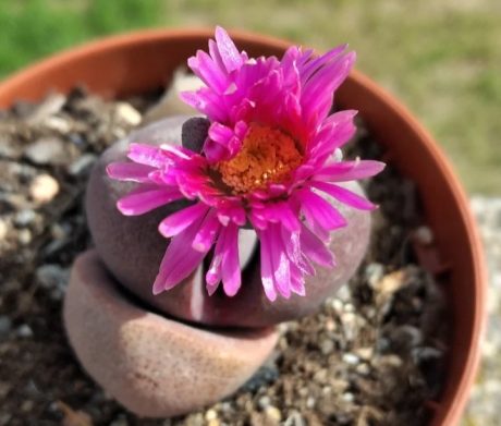 Screenshot_20220411-200617_Instagram