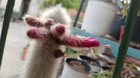 IMG_20230505_201731_325~2